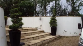 Garden Wall Rendering Querie
