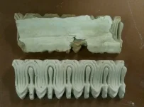 stripping cornicing/ceiling rose