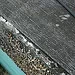 Large render crack