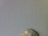 Cracks in wet plaster as it dries.