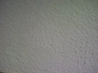 Plaster finish