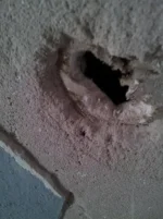 plaster peeling/drywall repair