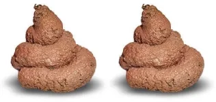 Here's our old mate again !!