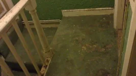 Carpet damage and dustsheets