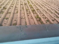 rough as toast wall , likely damp