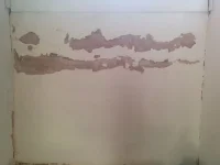 rough as toast wall , likely damp