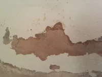 rough as toast wall , likely damp