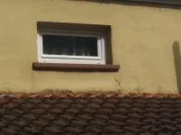 rough as toast wall , likely damp