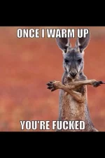 Bucket trowel problems ?