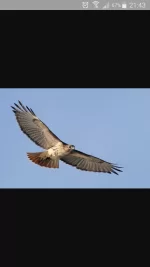 Speedskim   AGAIN......