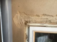 Advice wanted