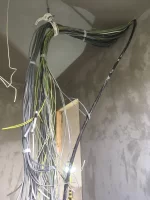 Electricians