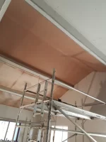 speedskim