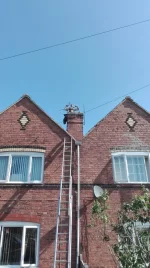 If carlsberg did jobs