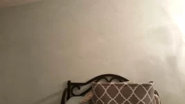 Cheap brush dear brush