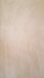Opinion on plastering job