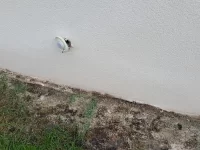 Advice needed on rendering work