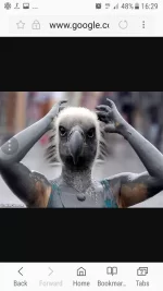 Skimmers wanted West Midlands