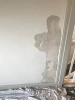 Help! New skim falling off.