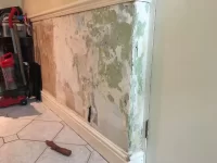 Any advice skimming under dado rail ??