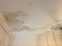 Intricate 1850's ceiling rose restoration