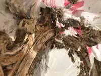 Intricate 1850's ceiling rose restoration