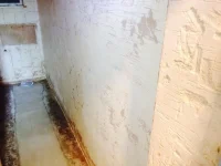 "Decorative" sand cement render in bathroom/ wetroom. Help please!!
