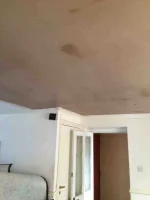 What are you doing today?