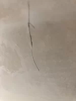 Unhappy with plaster work, am I being unreasonable.