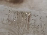 Unhappy with plaster work, am I being unreasonable.