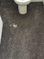 Unhappy with plaster work, am I being unreasonable.