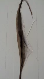 Need help please. Cracked thermalite causing cracked plaster.