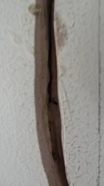 Need help please. Cracked thermalite causing cracked plaster.