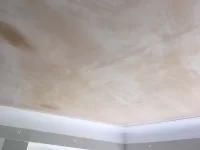 Advice Needed - Cowboy Plasterers