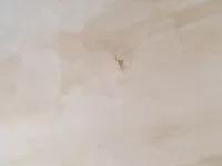 Advice Needed - Cowboy Plasterers