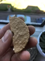 Anyone Know What This Is?