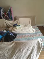 Dust sheets