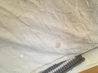 Dust sheets
