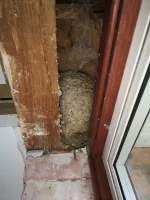 Bee hive or wasp i think thank god its a gonner