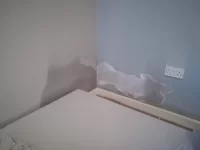 1930's Semi-Detached rising damp help