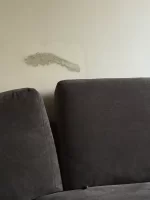 Damp patch on new plaster