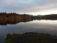 First time fishing today