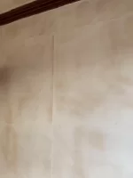 Is this a good job?