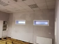 Gable End Damp Roof or Brickwork???