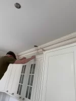 fibrous plasterers lets see your work today