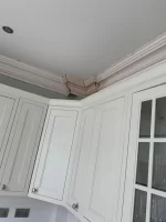 fibrous plasterers lets see your work today