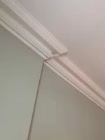 fibrous plasterers lets see your work today