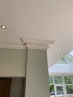 fibrous plasterers lets see your work today