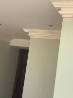 fibrous plasterers lets see your work today