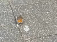 Small arch with fluted pilasters